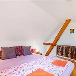 Rokytnice V Orlickych Horach By Interhome Vakantiehuis